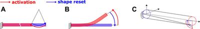 A Review of SMA-Based Actuators for Bidirectional Rotational Motion: Application to Origami Robots